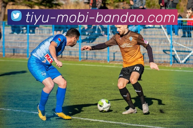 半岛体育发展历程